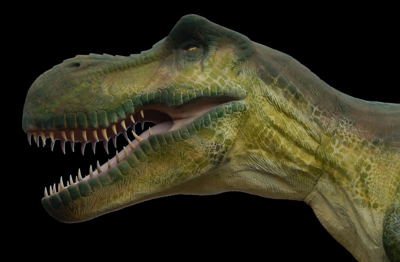 Dinosaur Safari